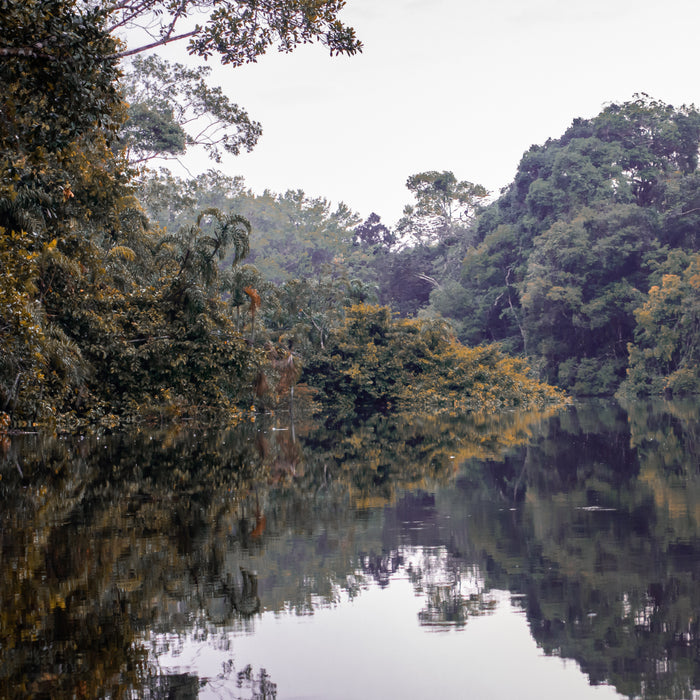Il biotopo Amazzonico