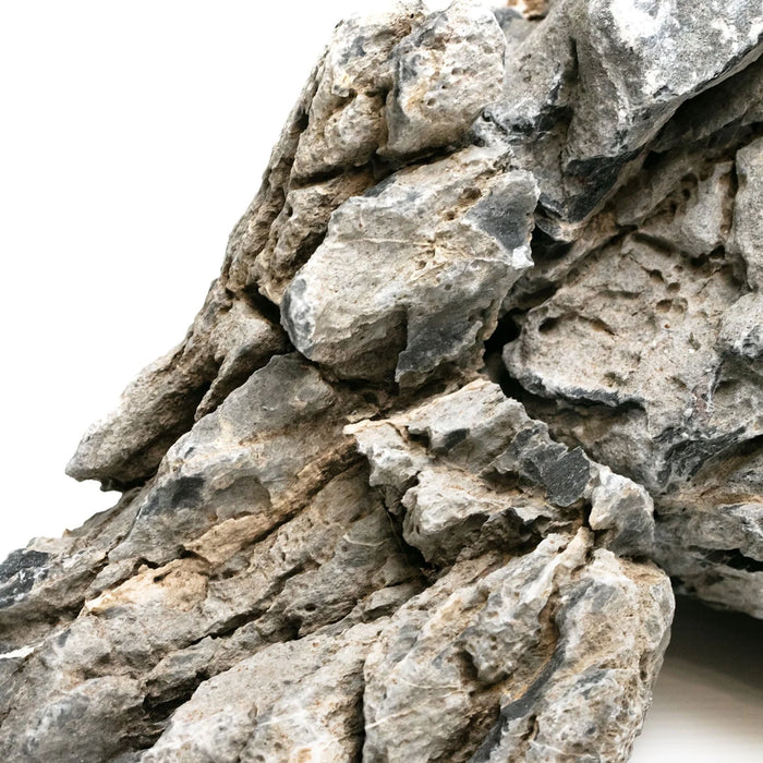 AqPet Zen Stone Seiryu 1kg - Roccia Naturale per Aquascaping e Layout Iwagumi