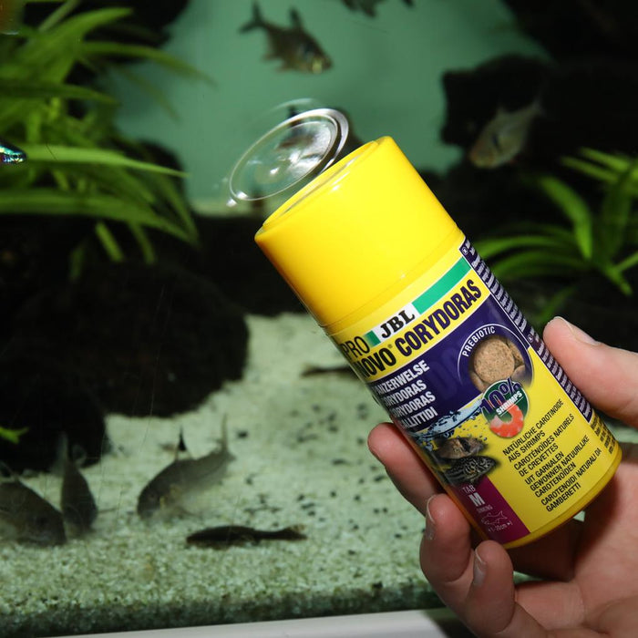 JBL Pronovo Corydoras Tab M 100 ml – Pastiglie Fondo per Pesci Gatto Corazzati