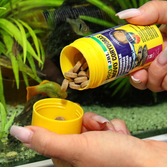 JBL Pronovo Corydoras Tab M 100 ml – Pastiglie Fondo per Pesci Gatto Corazzati