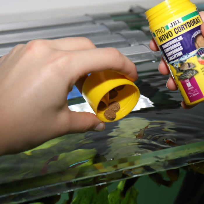 JBL Pronovo Corydoras Tab M 100 ml – Pastiglie Fondo per Pesci Gatto Corazzati