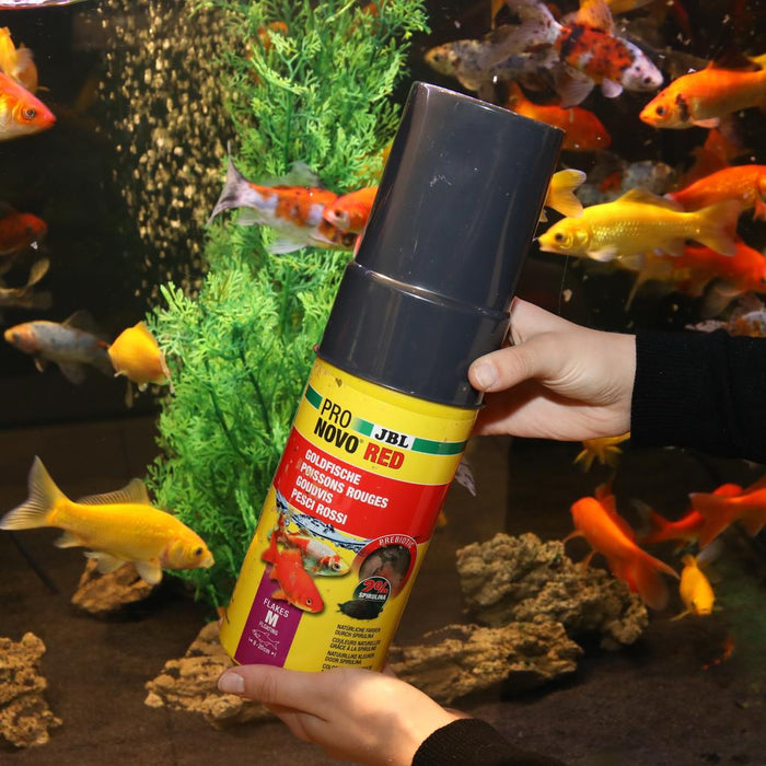 JBL Pronovo Red Flakes M 750 ml – Ricarica Mangime Prebiotico in Fiocchi per Pesci Rossi
