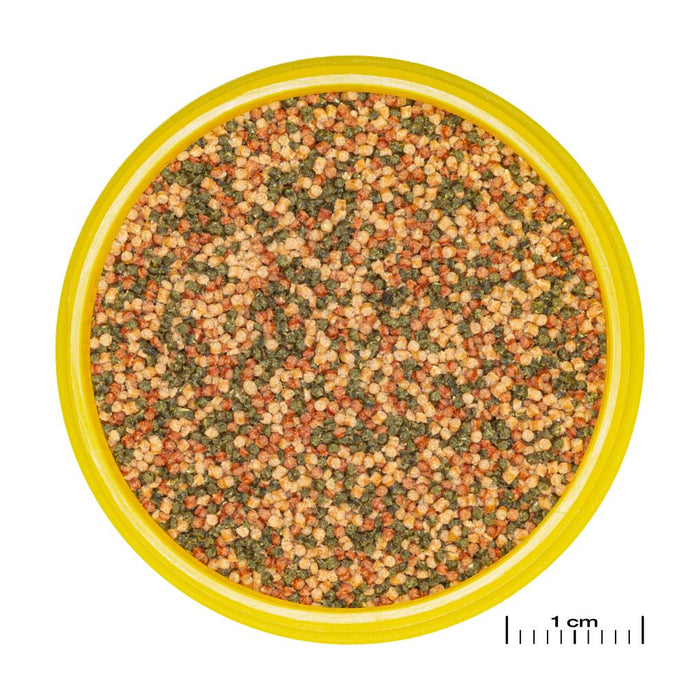 JBL Pronovo Bel Grano S 100 ml – Granuli Prebiotici per Pesci Tropicali (3–10 cm)