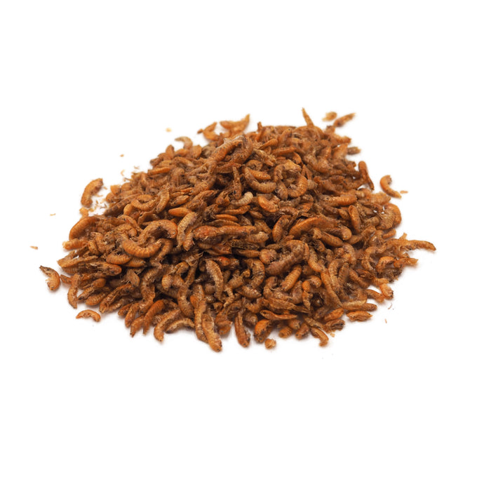 SHG Gammarus 110 g – Alimento Naturale Essiccato per Tartarughe e Rettili
