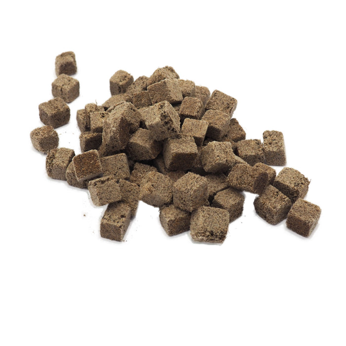 SHG Tubifex 50 g – Vermi Tubifex Liofilizzati Puri e Sterilizzati Formato Maxi per Pesci Tropicali ed Esemplari di Cattura