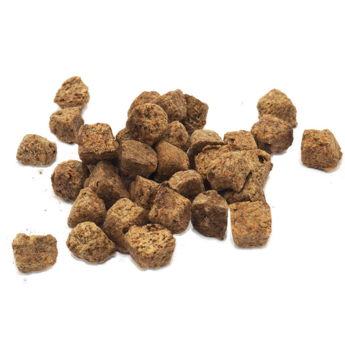 SHG Artemia Liofilizzata 10 g – Alimento naturale ad alto valore nutrizionale per pesci