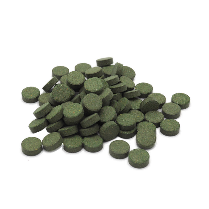 SHG Plecotabs 60 g – Pastiglie da Fondo per Pesci Alghivori