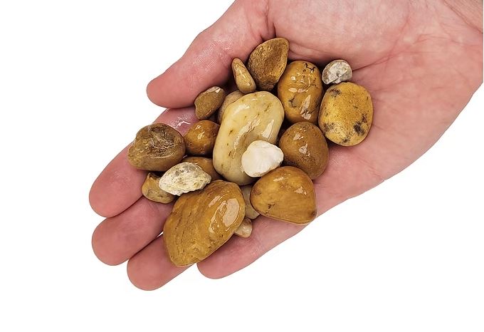 Wio Bumblebee Gravel Mix 2 kg – Ghiaia Ocra Naturale per Acquari e Terrari