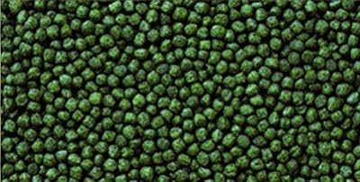Hikari Cichlid Staple Mini 57 g – Mangime Quotidiano Galleggiante per Ciclidi e Pesci Tropicali