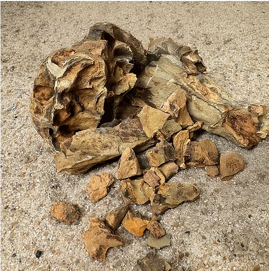 Wio Dragon Chip Accent 500 g – Scaglie Naturali di Pietra del Drago per Acquari e Terrari