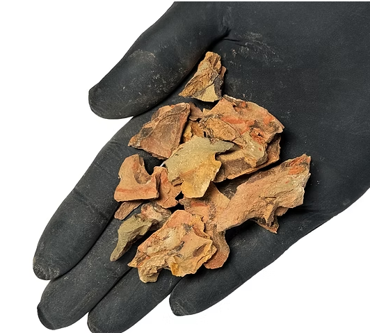 Wio Dragon Chip Accent 500 g – Scaglie Naturali di Pietra del Drago per Acquari e Terrari