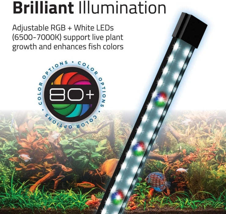Fluval Flex 2.0 Acquario Kit 34 L Nero – Design Curvo con Filtro a Scomparsa e LED 7000 K