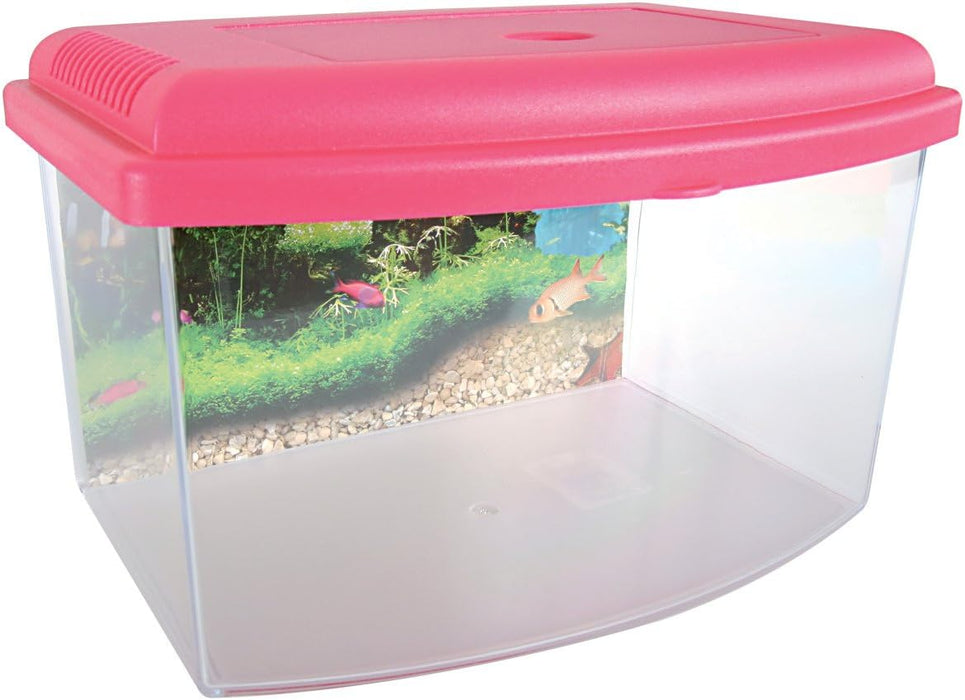 Zolux Travel Box II 22 cm – Contenitore per Trasporto Pesci e Acquariologia