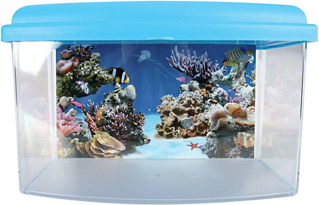 Zolux Travel Box II 22 cm – Contenitore per Trasporto Pesci e Acquariologia