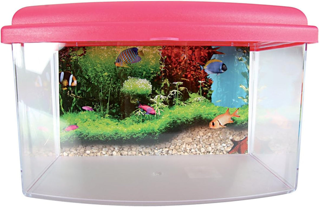Zolux Travel Box II 22 cm – Contenitore per Trasporto Pesci e Acquariologia