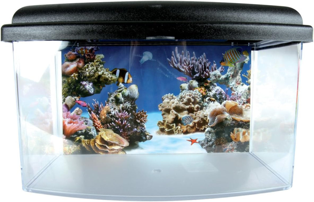 Zolux Travel Box II 22 cm – Contenitore per Trasporto Pesci e Acquariologia