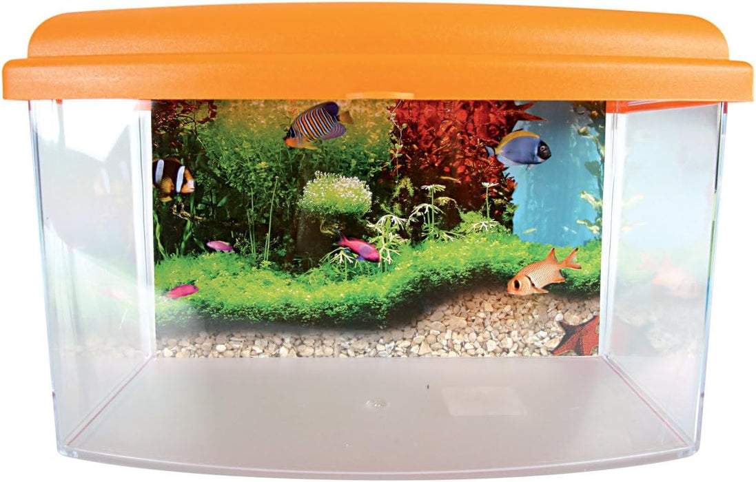 Zolux Travel Box II 22 cm – Contenitore per Trasporto Pesci e Acquariologia