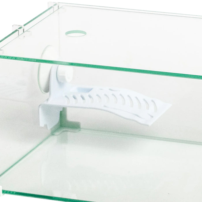 AqPet Tortuga 40 – Tartarughiera in Vetro con Isolotto, Rampa e Coperchio (40x24x17 cm, 16 L)