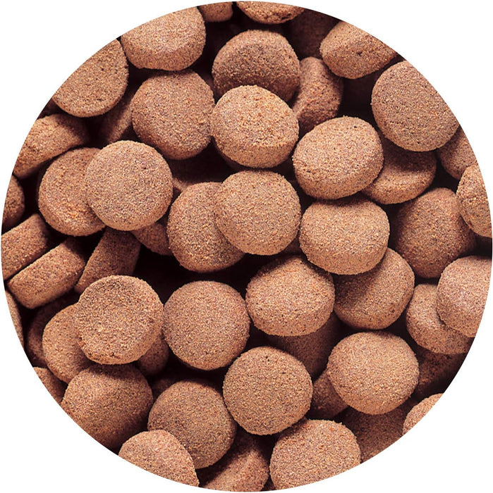 Mangime per Pesci Carnivori Hikari Tropical Massivore Delite 380g – Pellet Affondante Monster Fish