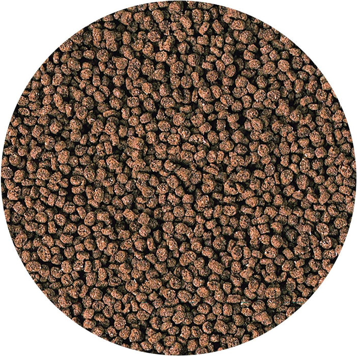 Hikari Marine-S 50 g – Mangime Premium con Aglio per Pesci Marini di Piccola Taglia