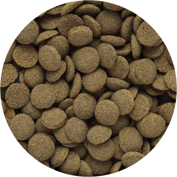 Hikari Tropical Sinking Wafers 50 g – Mangime Affondante per Corydoras e Pesci di Fondo