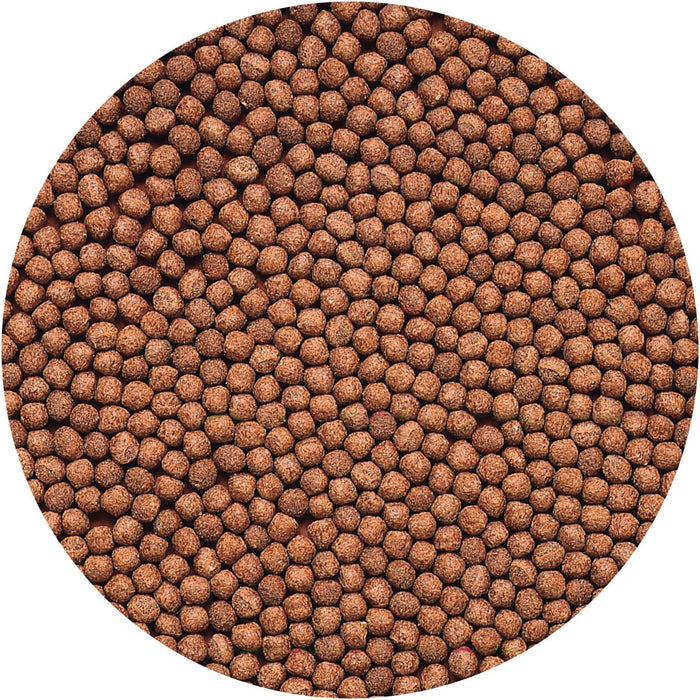 Hikari Cichlid Gold Mini 57 g – Mangime Esaltatore del Colore per Ciclidi e Pesci Tropicali