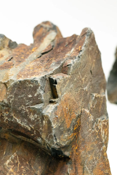 AqPet Zen Stone Black Forest – Roccia Naturale Inerte (Prezzo al kg)