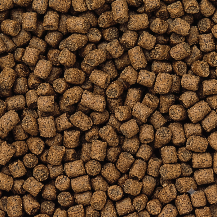 Mangime per Pesci Rossi Hikari Lionhead 100g – Pellet Affondante per Oranda e Ranchu