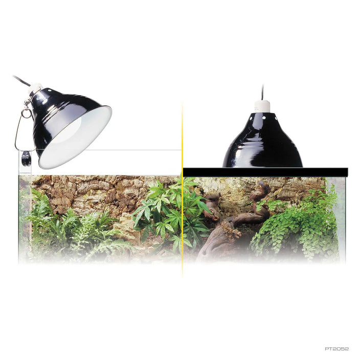 Exo Terra Glow Light Small – Portalampada con riflettore luminoso per terrario
