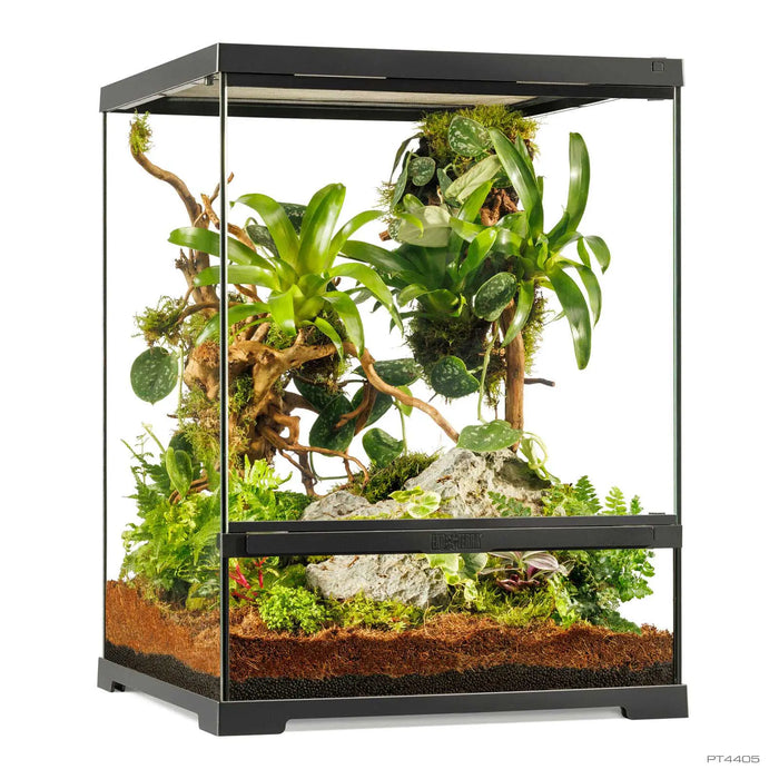 Exo Terra Pro Terrarium 45x45x60 – Terrario Naturale Avanzato Small Tall