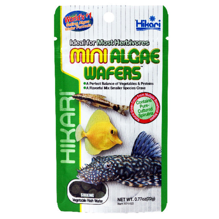 Hikari Mini Algae Wafers 22g - Mangime Professionale in Mini Dischetti per Piccoli Algivori