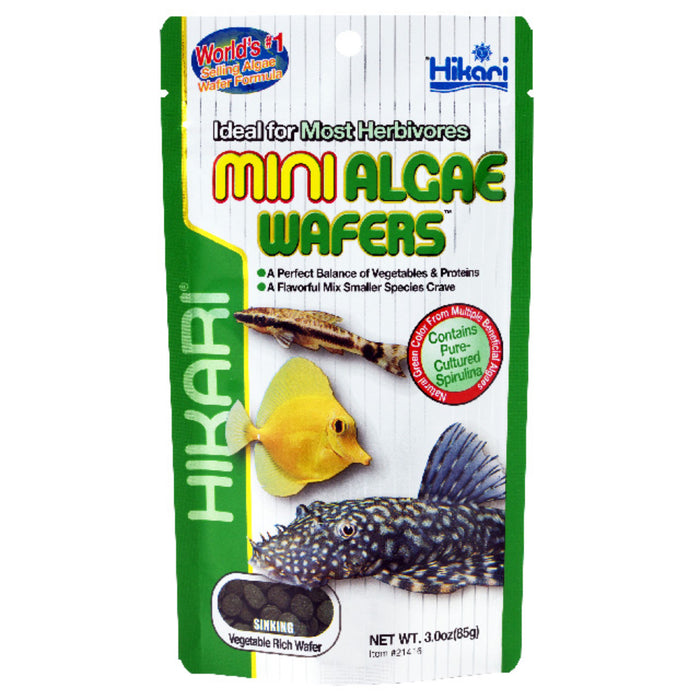Hikari Mini Algae Wafers 85g Mangime Dischetti Affondanti Piccoli Pesci Pulitori