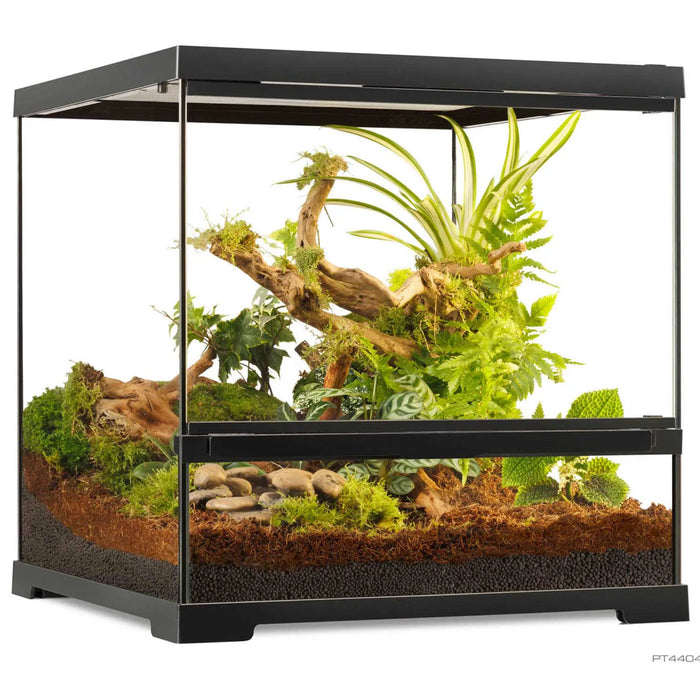Exo Terra Pro Terrarium 45x45x45 – Terrario professionale per rettili e anfibi