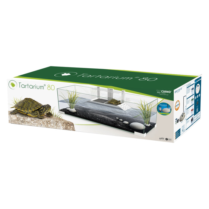 Ciano Tartarium 80 Cool – Tartarughiera in Vetro 80 cm con Rampa e Piattaforma