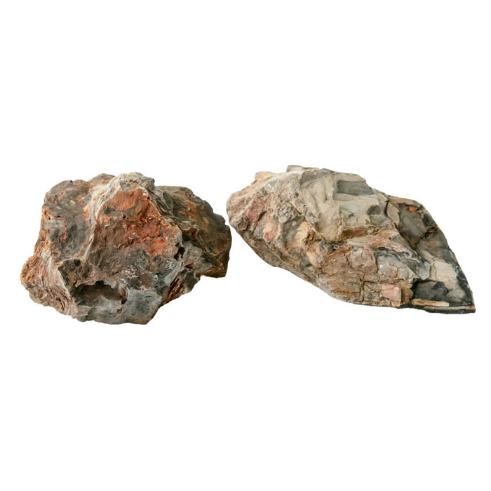 AqPet Zen Stone Wood Fossil – Roccia Naturale Inerte Effetto Legno (Prezzo al kg)