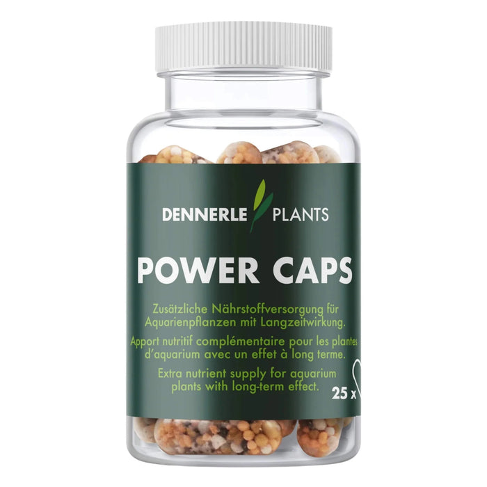 Dennerle Power Caps 25 pezzi