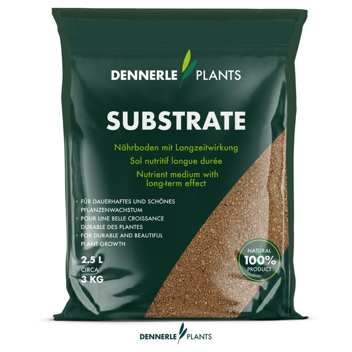Dennerle Substrate 2,5 L – Fondo nutritivo per piante acquario effetto prolungato
