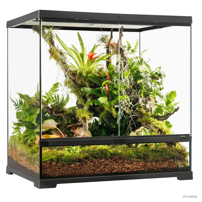 Exo Terra Pro Terrarium 60x45x60 – Terrario avanzato per rettili e anfibi