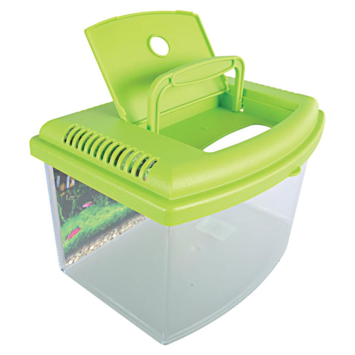 Zolux Travel Box II 28 cm – Contenitore per Trasporto Pesci e Acquariologia