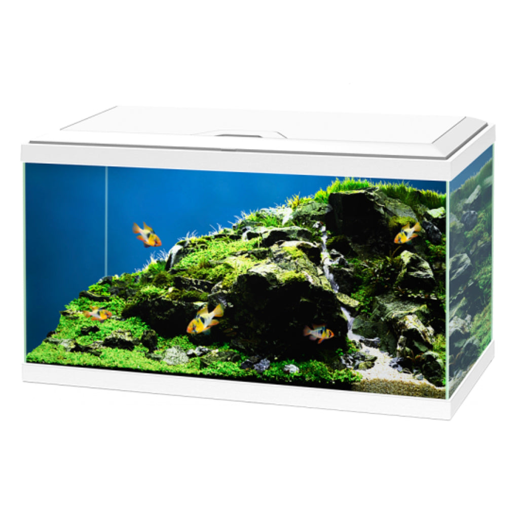 Oase Acquario Luminoso Biorb Halo 60 Litri Colore Bianco con Luci a Led  Bianchi