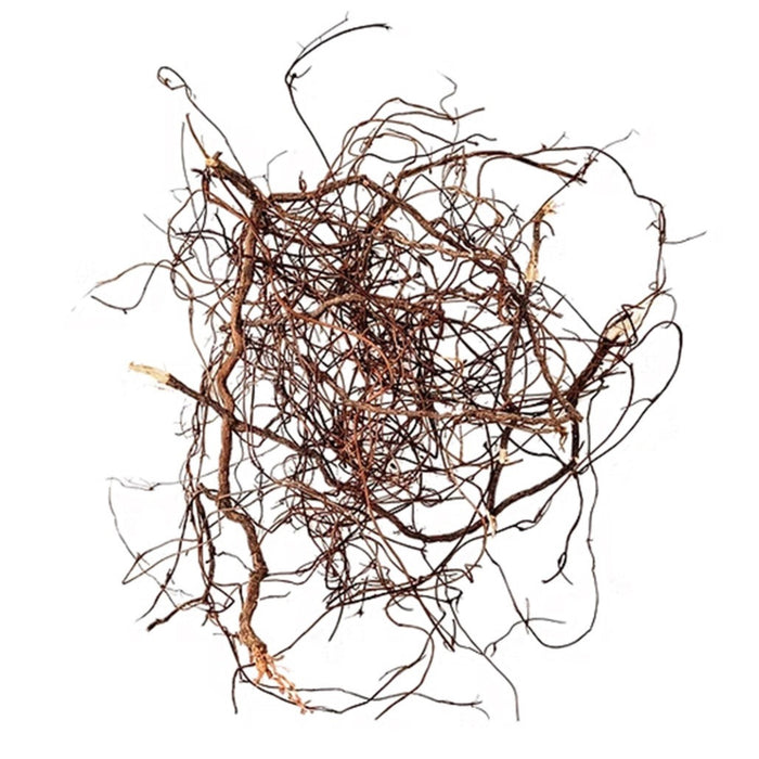 Wio Mini Roots 80g – Radici Naturali Flessibili per Acquari, Paludari e Terrari