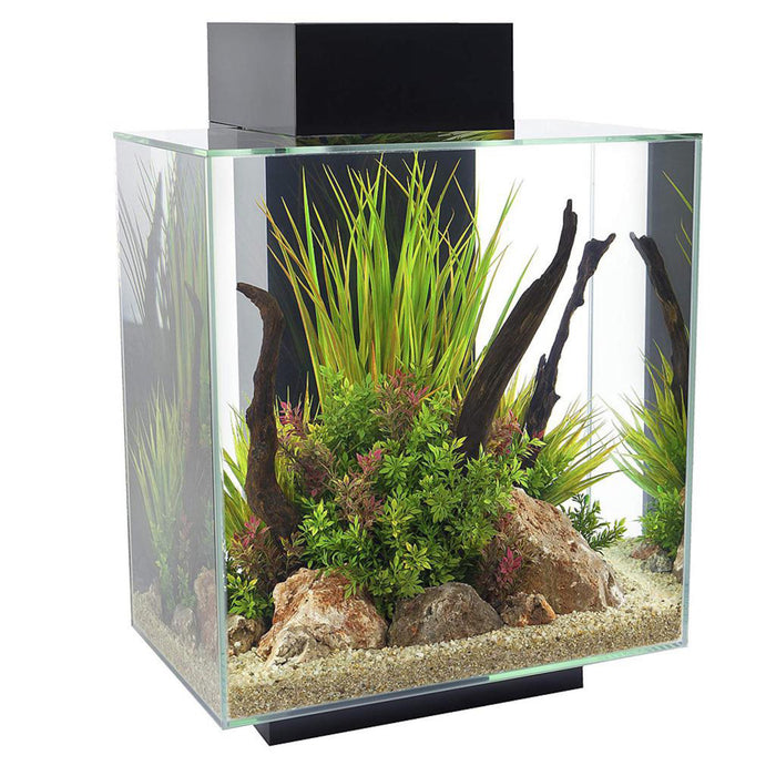 Askoll Fluval Edge 2.0 LED 46 Litri Black – Acquario di Design con Visione 360°
