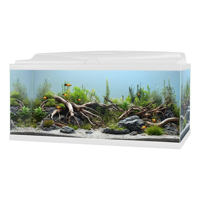 Ciano Aqua 85 LED Bianco – Acquario Completo 76L con Filtro CBIO e Riscaldatore