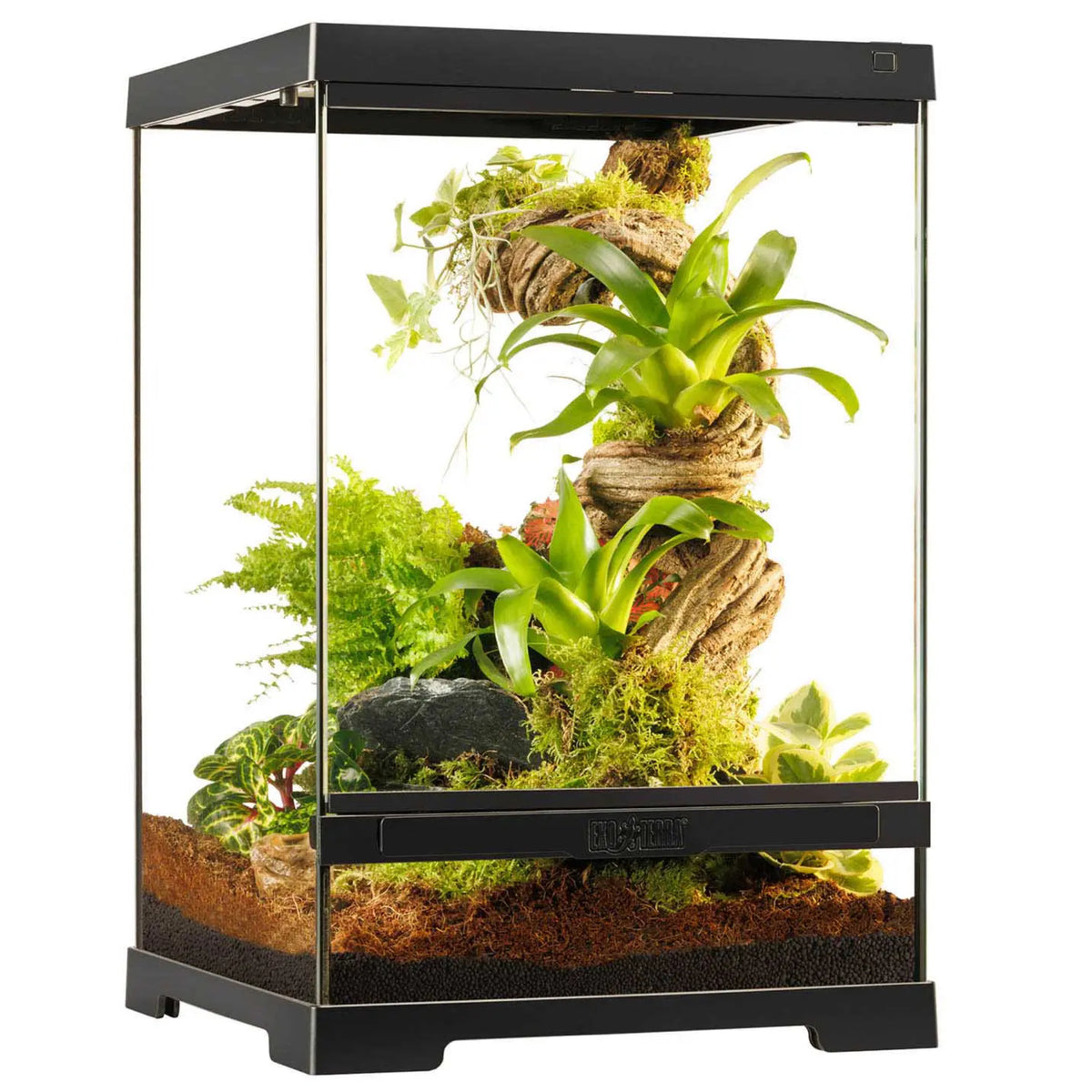 Exo Terra Pro Terrario 60x45x30, Modello PT-4407, Per Rettili E Anfibi