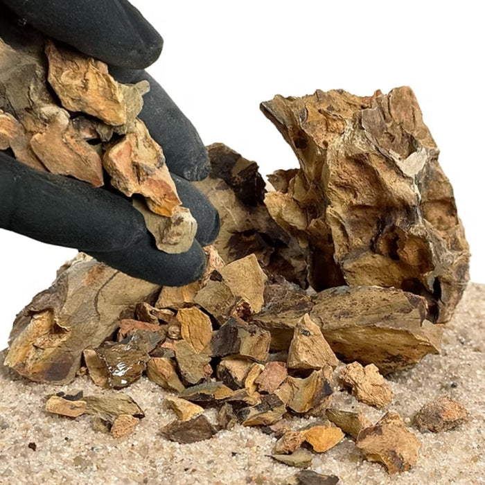 Wio Dragon Chip Accent 500 g – Scaglie Naturali di Pietra del Drago per Acquari e Terrari