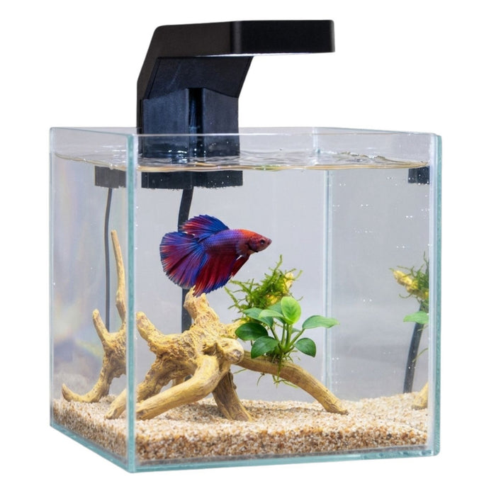 Askoll Betta World – Kit Acquario Completo 8L con LED per Betta Splendens