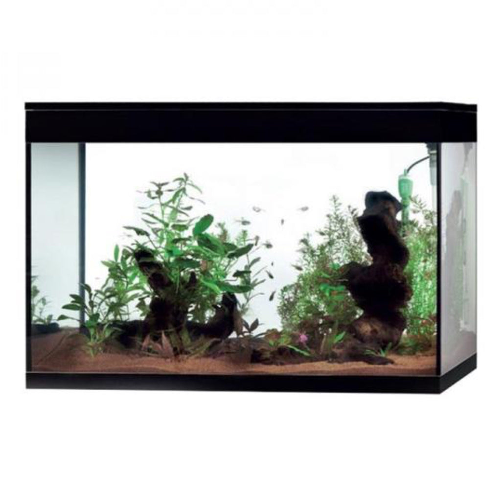 Askoll Filter-Zubehör Set Für Pure M, L, XL Aquarien – Inkl. 3Action Patronen