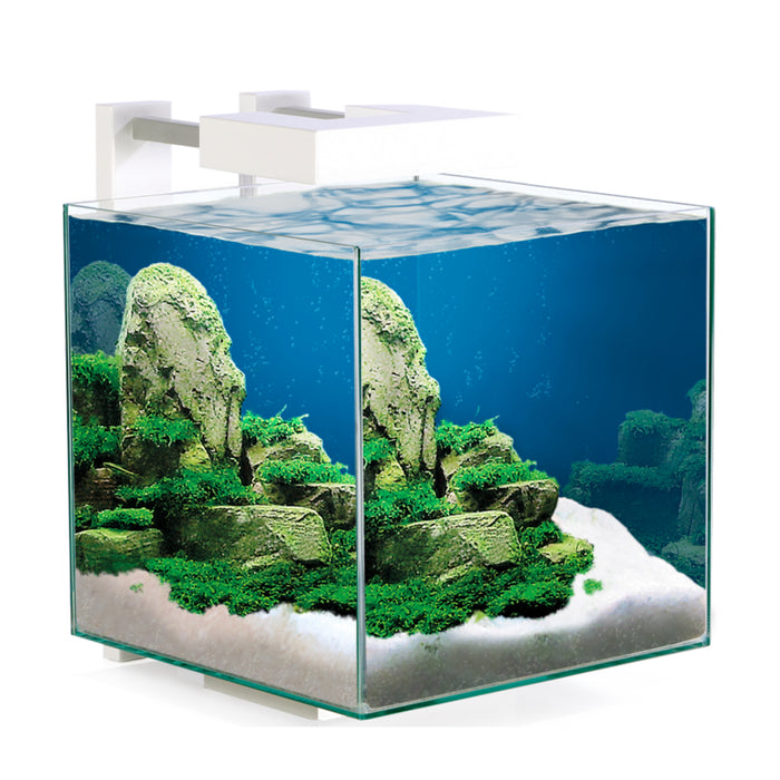 Ciano Nexus Pure Cube 15 – Acquario cubico 20 L con filtro e luce LED