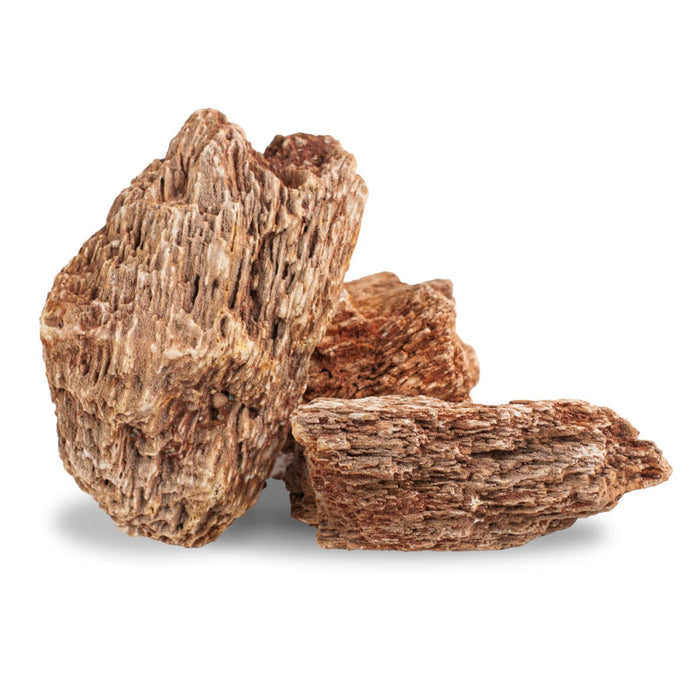 AqPet Zen Stone Red Wood Fossil 1kg – Roccia Naturale NON Calcarea Aquascaping