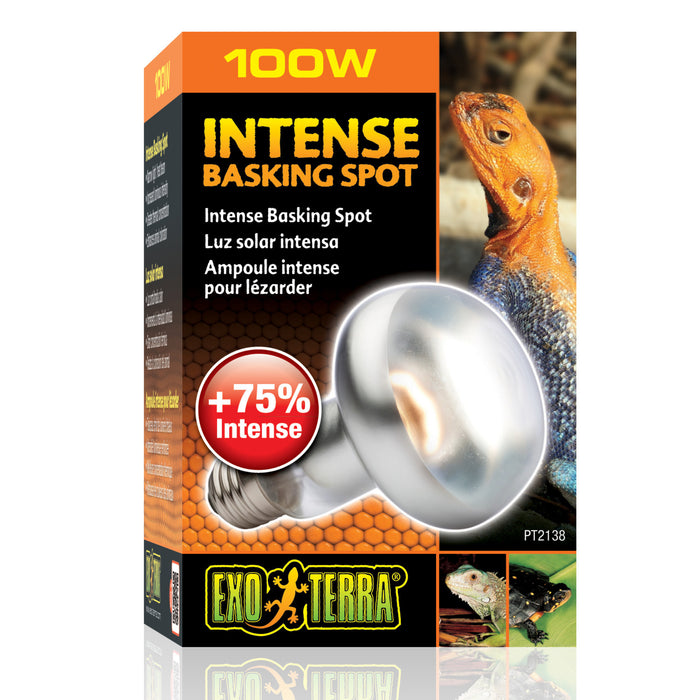 Exo Terra Intense Basking Spot 100 W – Lampada Riscaldante Concentrata per Terrari
